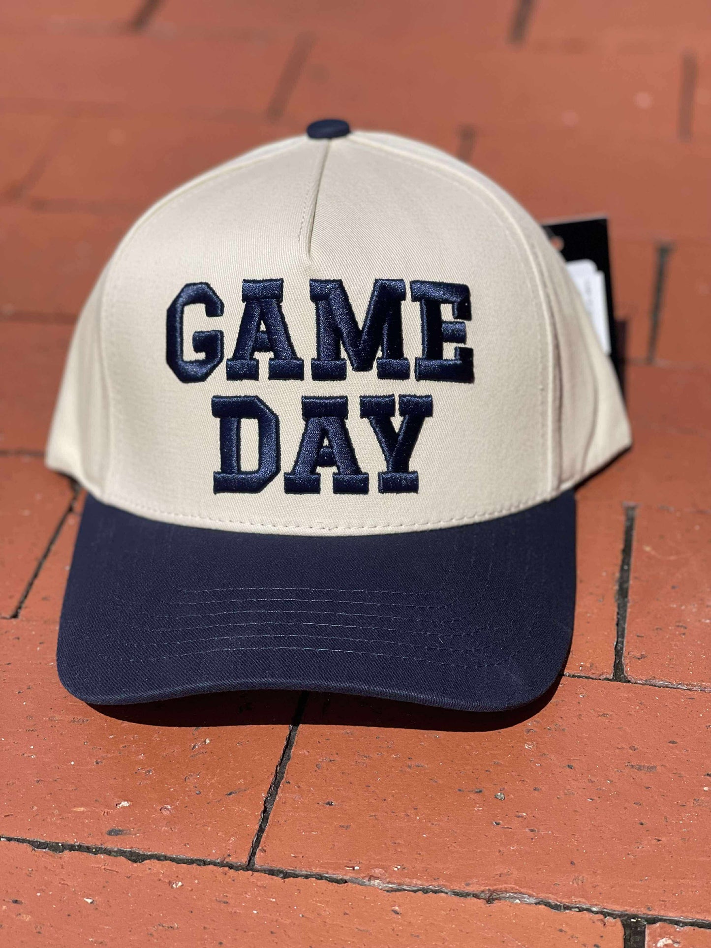 Embroidered Hats *multiple choices