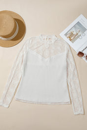 Lace Mesh Long Sleeve Top