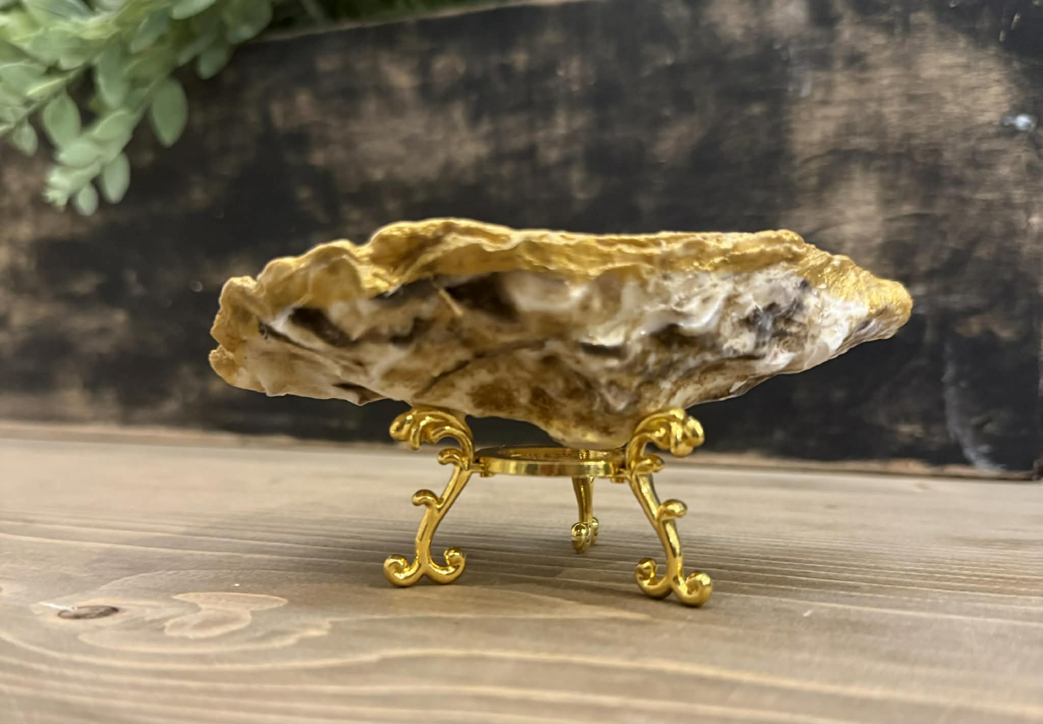 Oyster Jewelry Holder