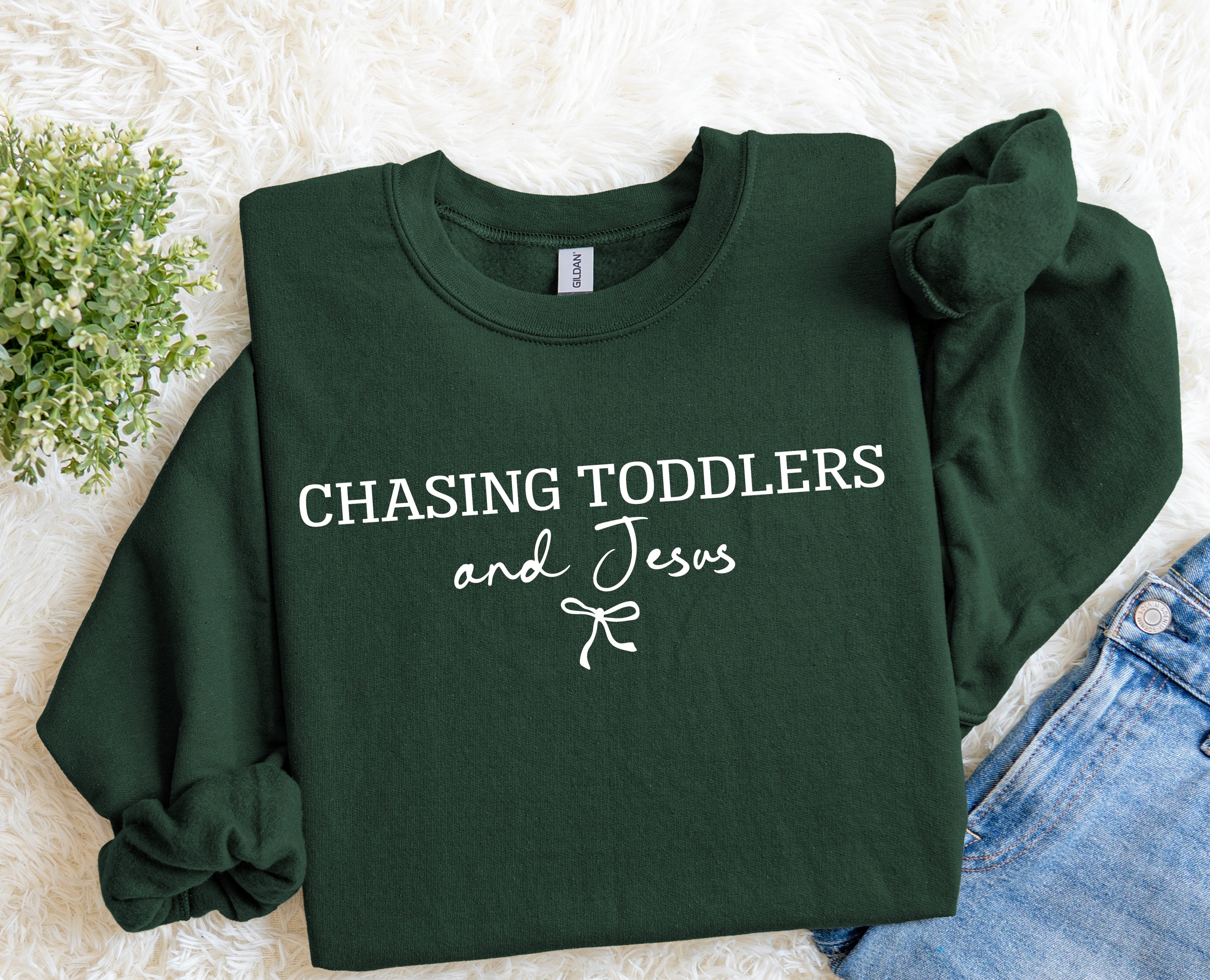 Chasing Toddlers & Jesus Sweatshirt.