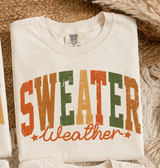 Fall Basic Sweater Weather Tee.