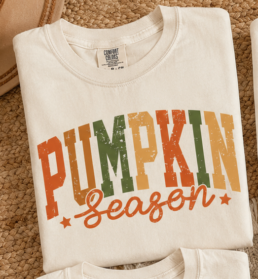 Fall Basic Pumpkin Season Tee.