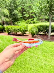Fish Claw Clips