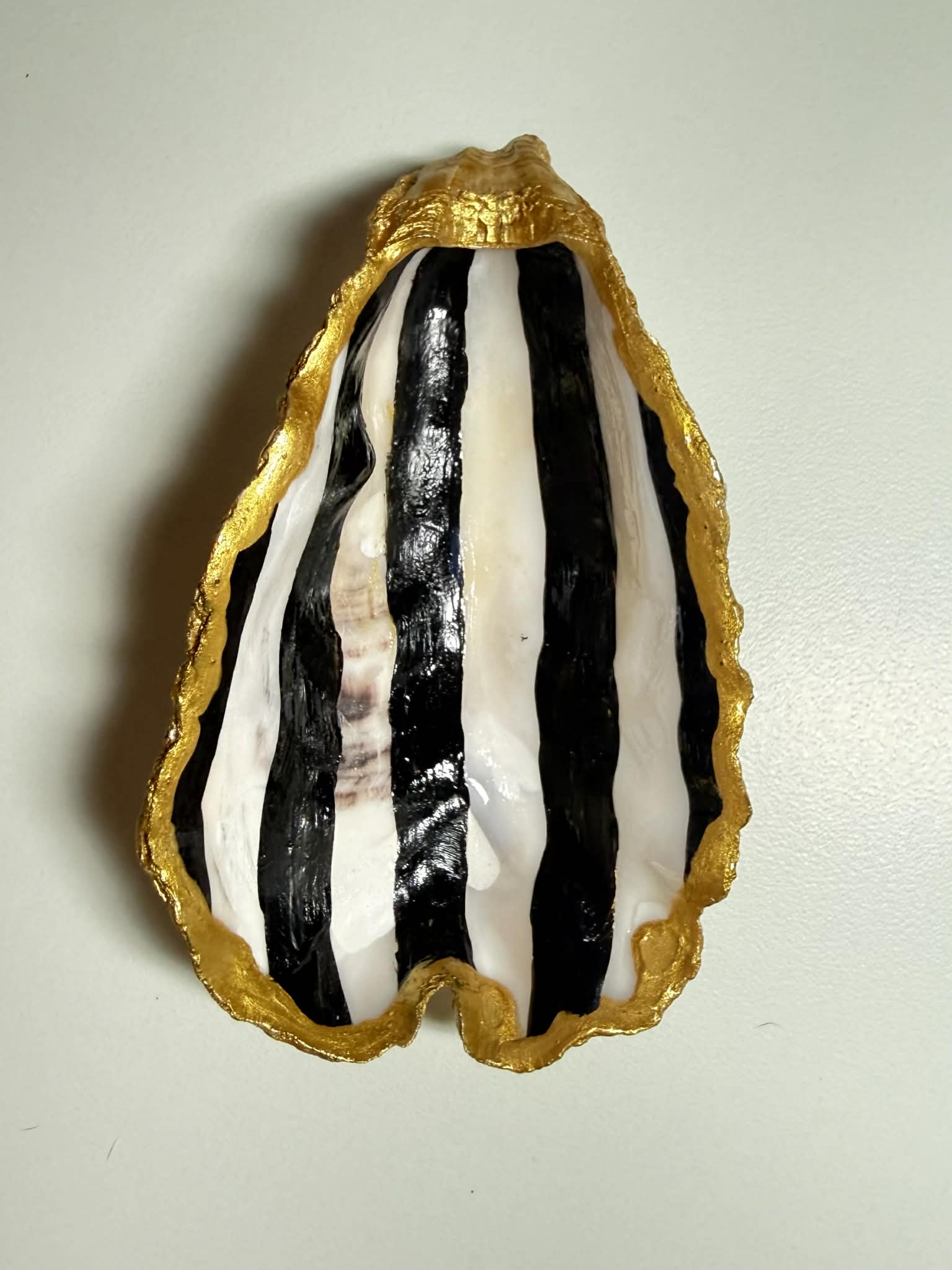 Oyster Jewelry Holder