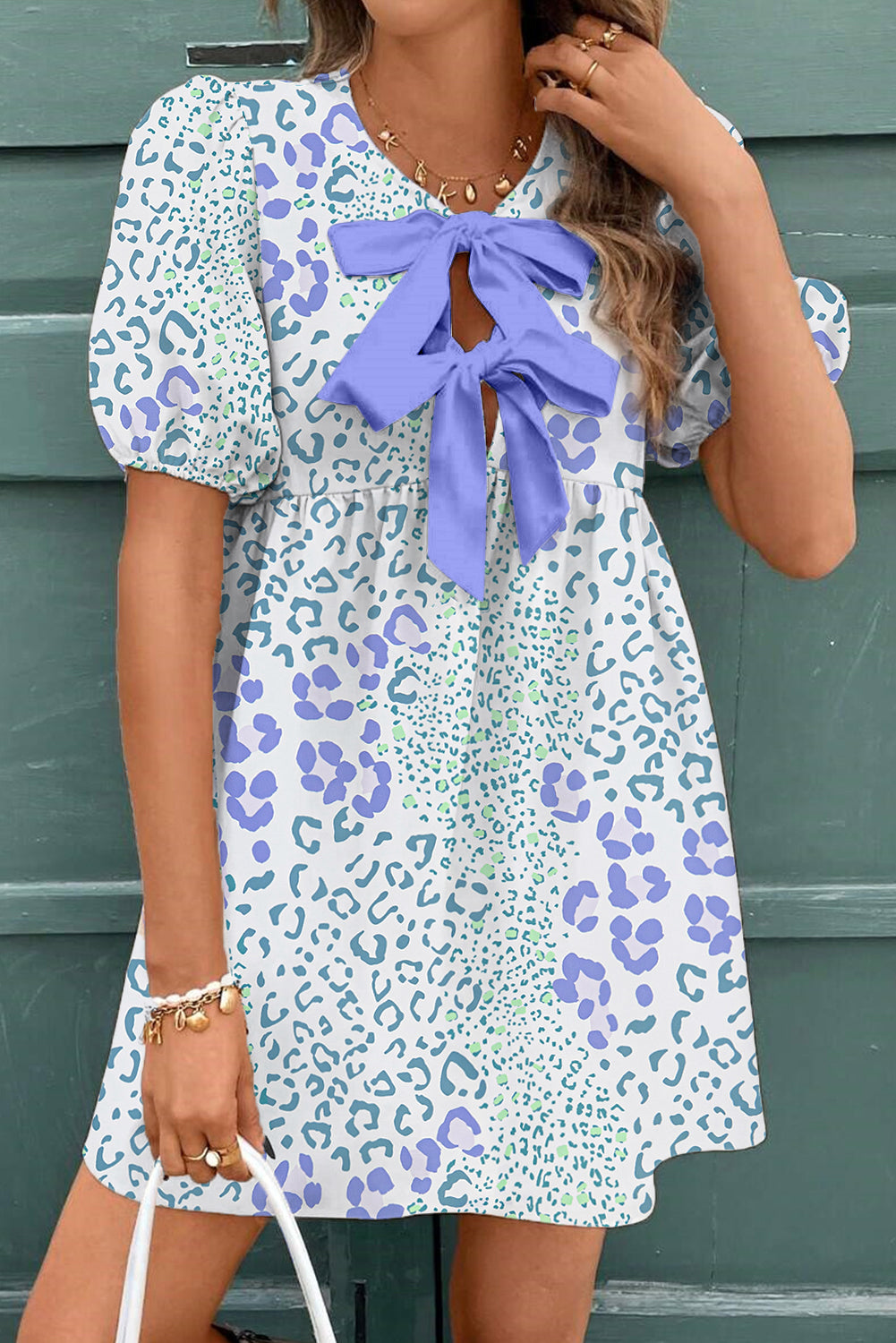 Blue Leopard Bow Dress FB