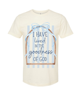 Tultex Goodness of God Tee.