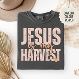 Fall Faith Bundle Jesus is My Harvest Tee.