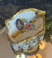 Oyster Jewelry Holder