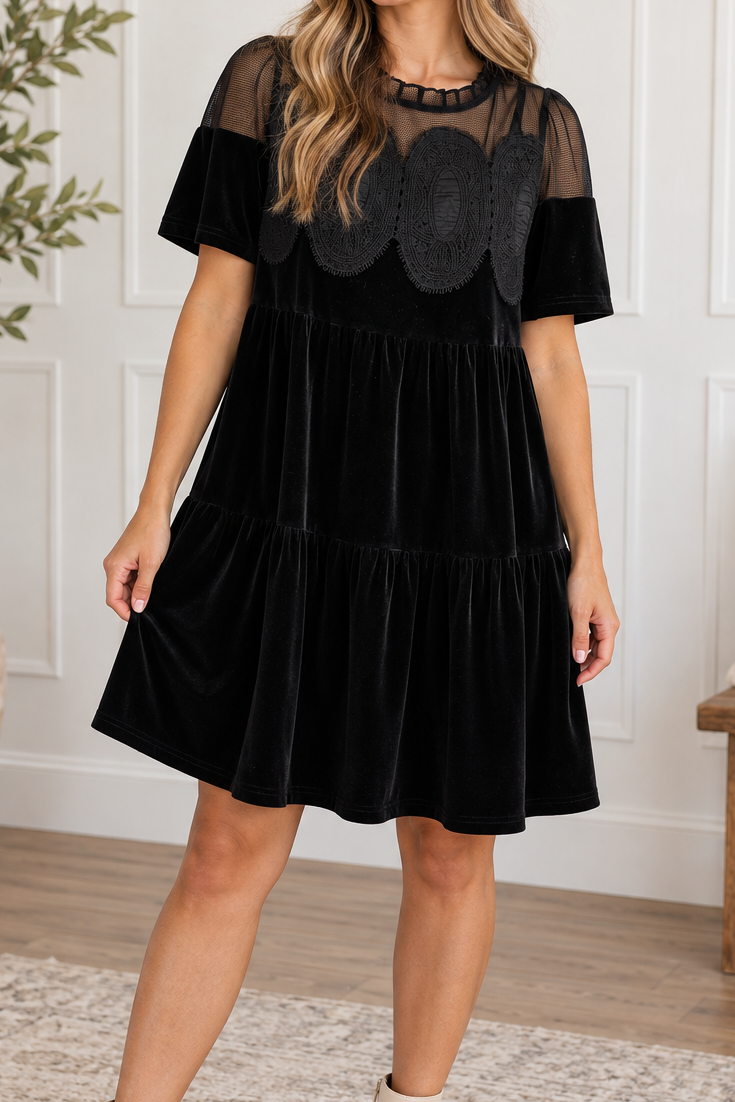Black_Embroidered_Velvet_Dress.png