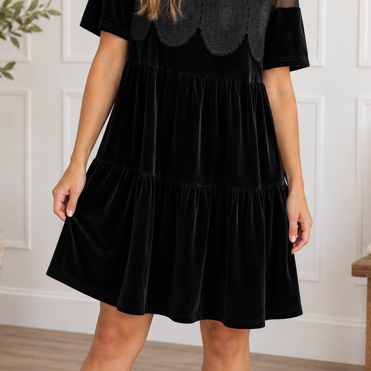 Black_Embroidered_Velvet_Dress.png