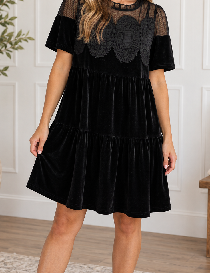 Black_Embroidered_Velvet_Dress.png