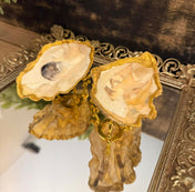 Oyster Jewelry Holder
