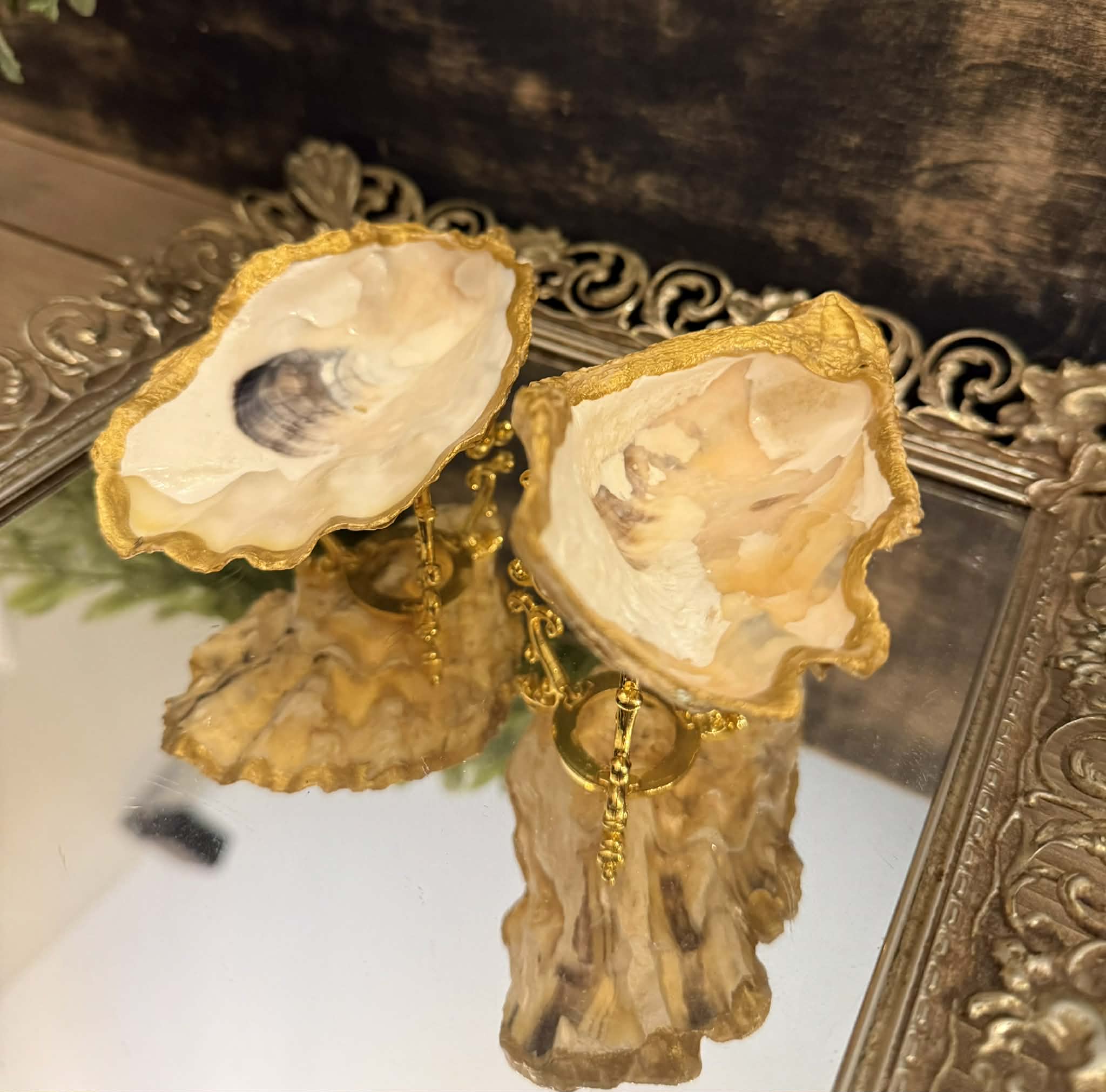 Oyster Jewelry Holder