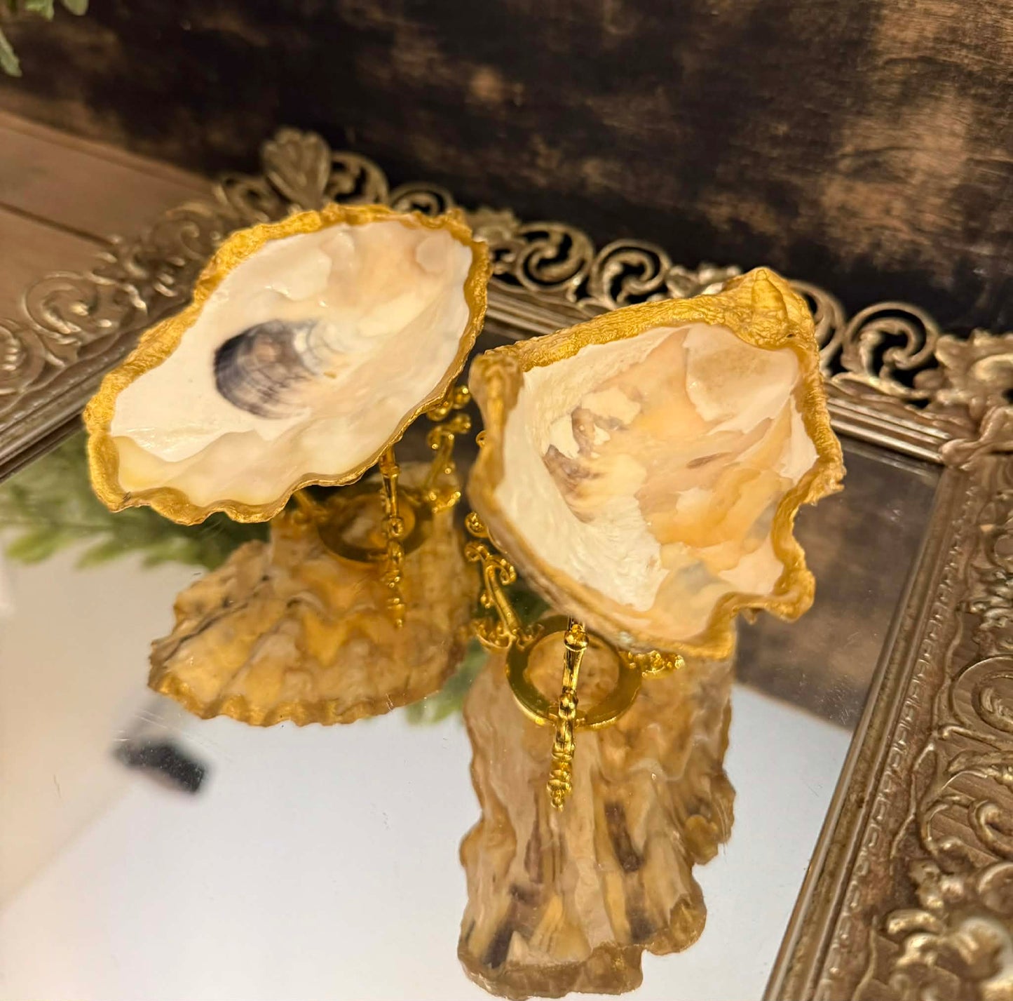 Oyster Jewelry Holder