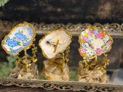Oyster Jewelry Holder