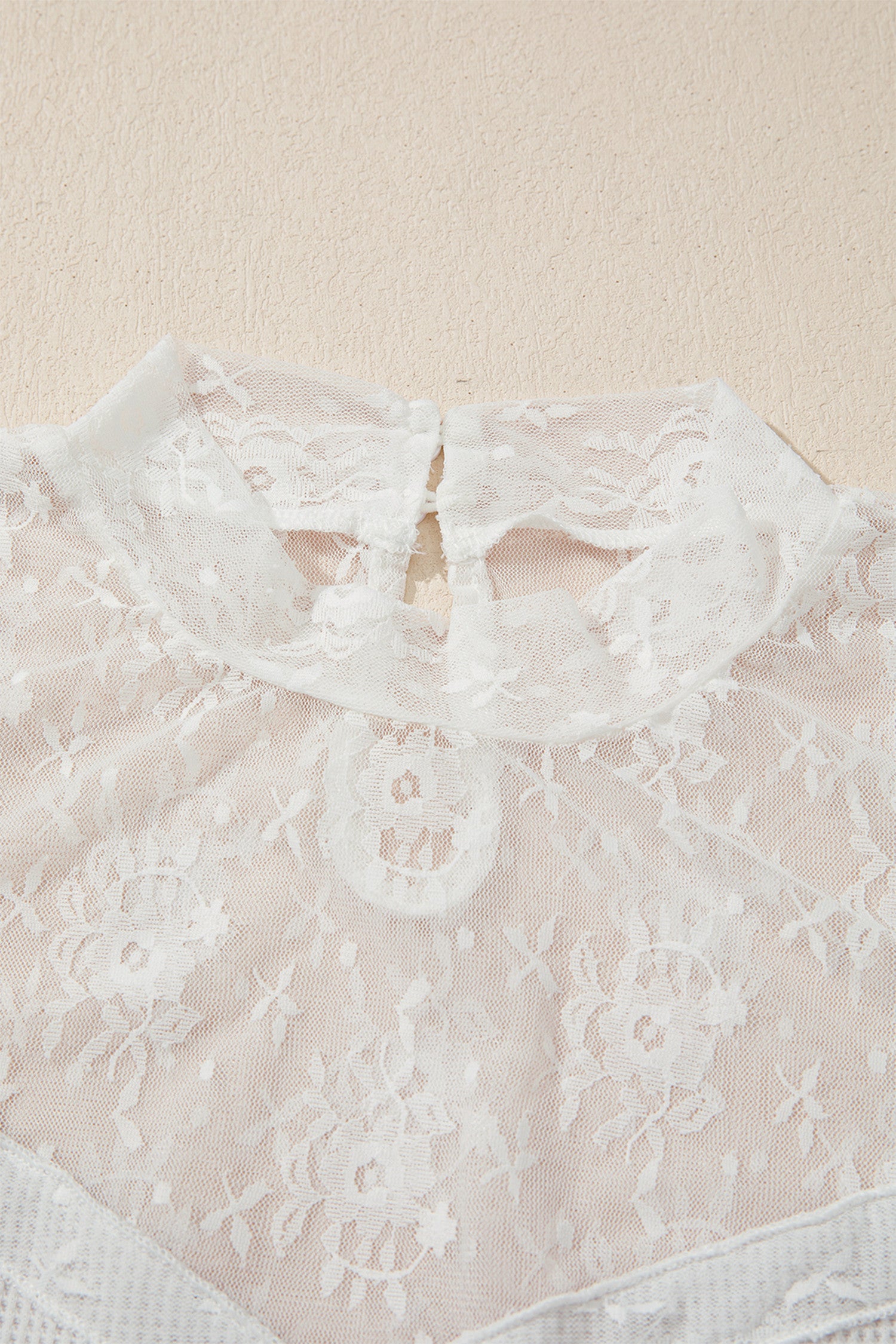 Lace Mesh Long Sleeve Top